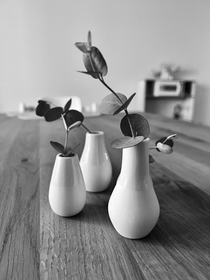 DEVsmartORG Eva Solitek Organisation Potenzial sichtbar machen mit dem Bild von vier Vasen und vier Blumen, die in Harmonie sind