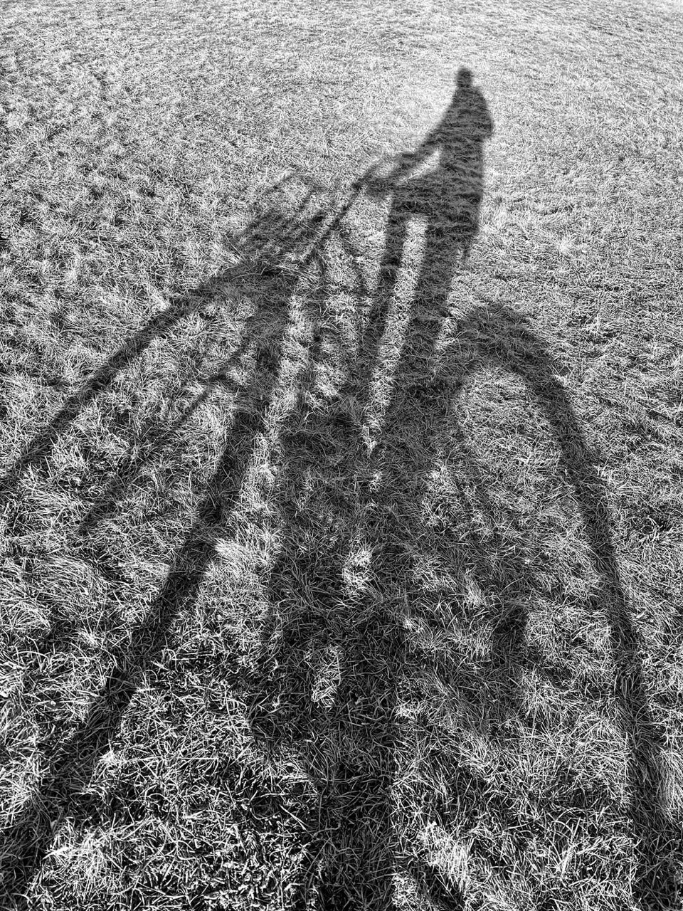 DEVsmartORG Eva Splitek call to action als Bild eines Schattens eines Fahrradfahrers